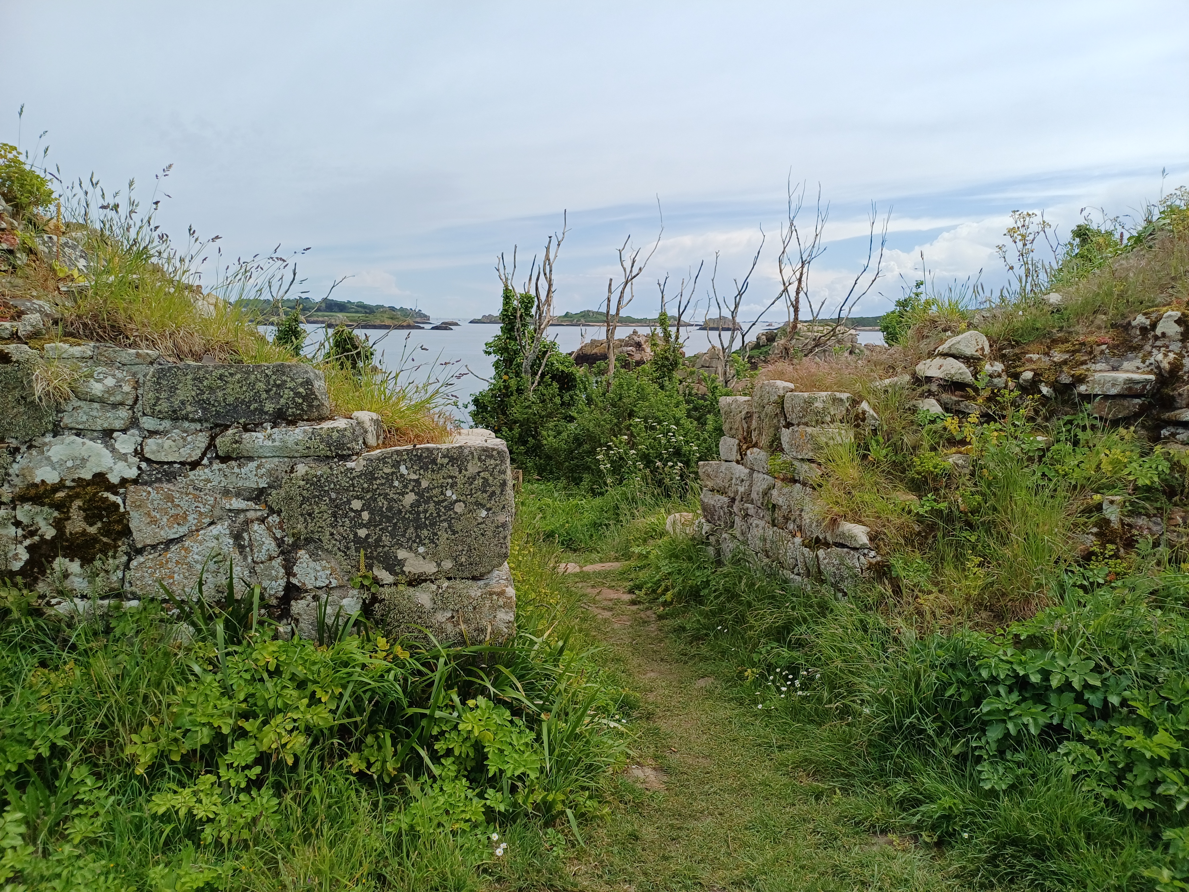 “Île Verte”